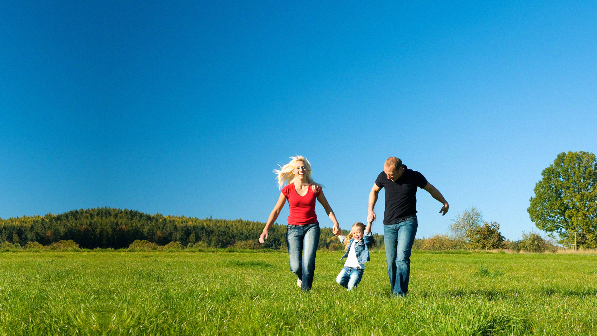 專業(yè)消毒公司哪家好